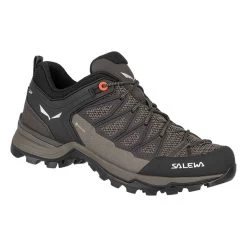 Salewa Ws Mtn Trainer Lite GTX