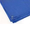 10x12 Polyethelene Tarp - Blue