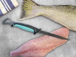 Toadfish Folding Filet Knife -Camping Equipment Shop Toadfish Folding Filet Knife 855864007890 image6 18737.1676603269