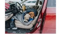 ALPS Mountaineering Aura 20 Sleeping Bag -Camping Equipment Shop opplanet alps mountaineering aura 20 sleeping bag regular gray charcoal 4611933 av 3